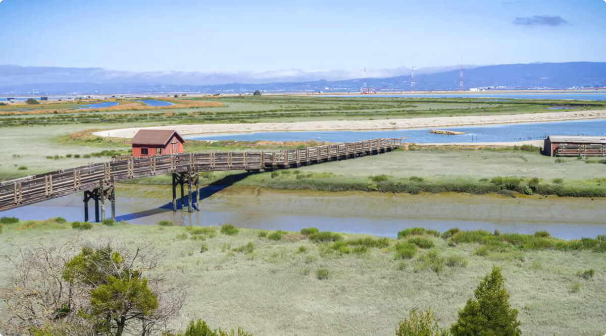 Melhores ofertas de aluguel de carros em Fremont